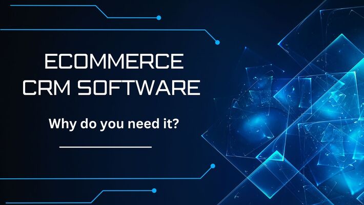 Ecommerce CRM Software: Why do you need it?